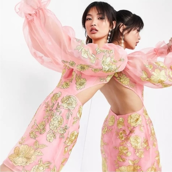 ASOS Dresses & Skirts - ASOS Edition Pink Floral Embroidered Balloon Sleeve Open Back Mini Dress 6 NWT